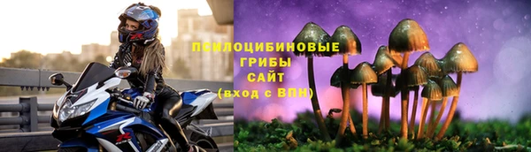 дмт Алзамай