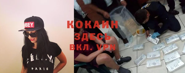 шишки Алексеевка