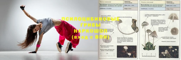 дмт Алзамай