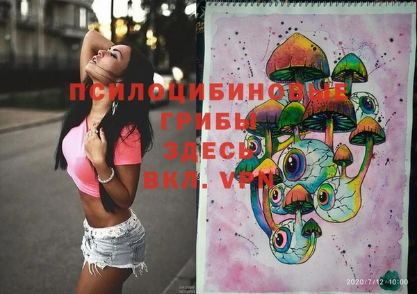 шишки Алексеевка