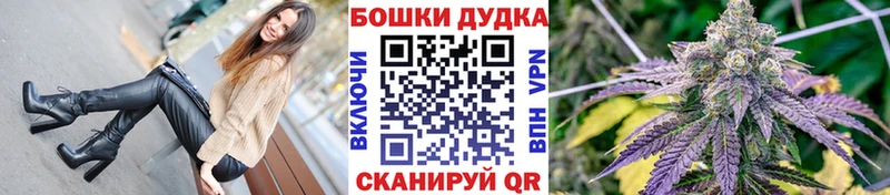 Конопля ГИДРОПОН  купить наркотики цена  Северская 